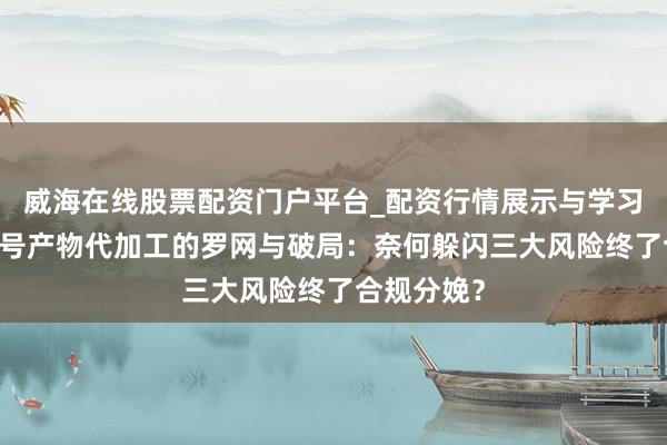 威海在线股票配资门户平台_配资行情展示与学习导航 消字号产物代加工的罗网与破局：奈何躲闪三大风险终了合规分娩？