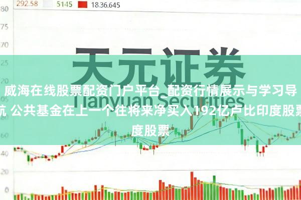 威海在线股票配资门户平台_配资行情展示与学习导航 公共基金在上一个往将来净买入192亿卢比印度股票