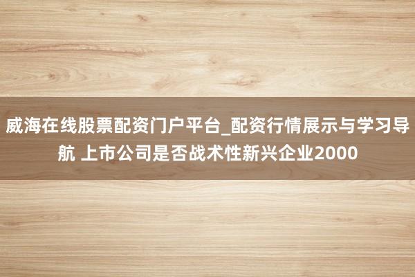 威海在线股票配资门户平台_配资行情展示与学习导航 上市公司是否战术性新兴企业2000
