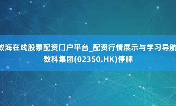威海在线股票配资门户平台_配资行情展示与学习导航 数科集团(02350.HK)停牌