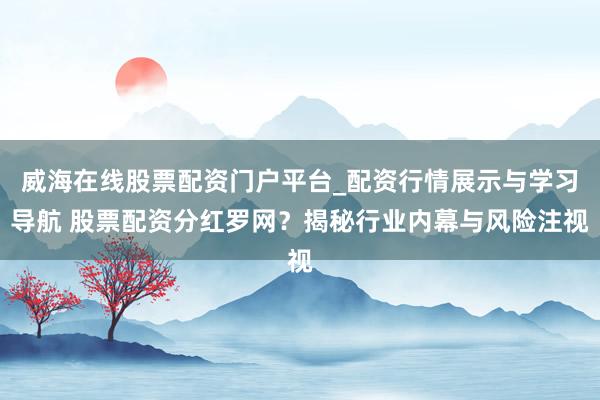 威海在线股票配资门户平台_配资行情展示与学习导航 股票配资分红罗网？揭秘行业内幕与风险注视